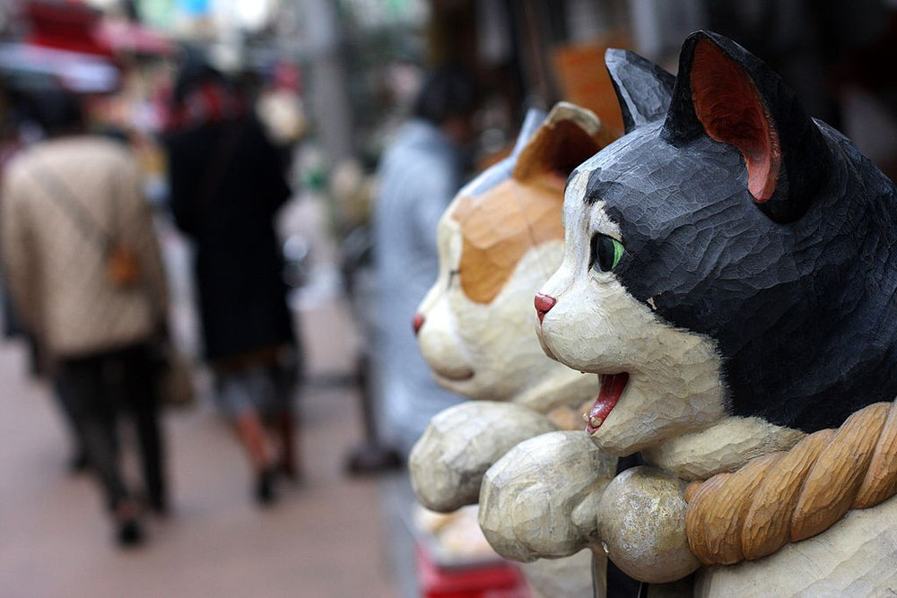 Old Retro Cat Themed Shopping Street In Tokyo!