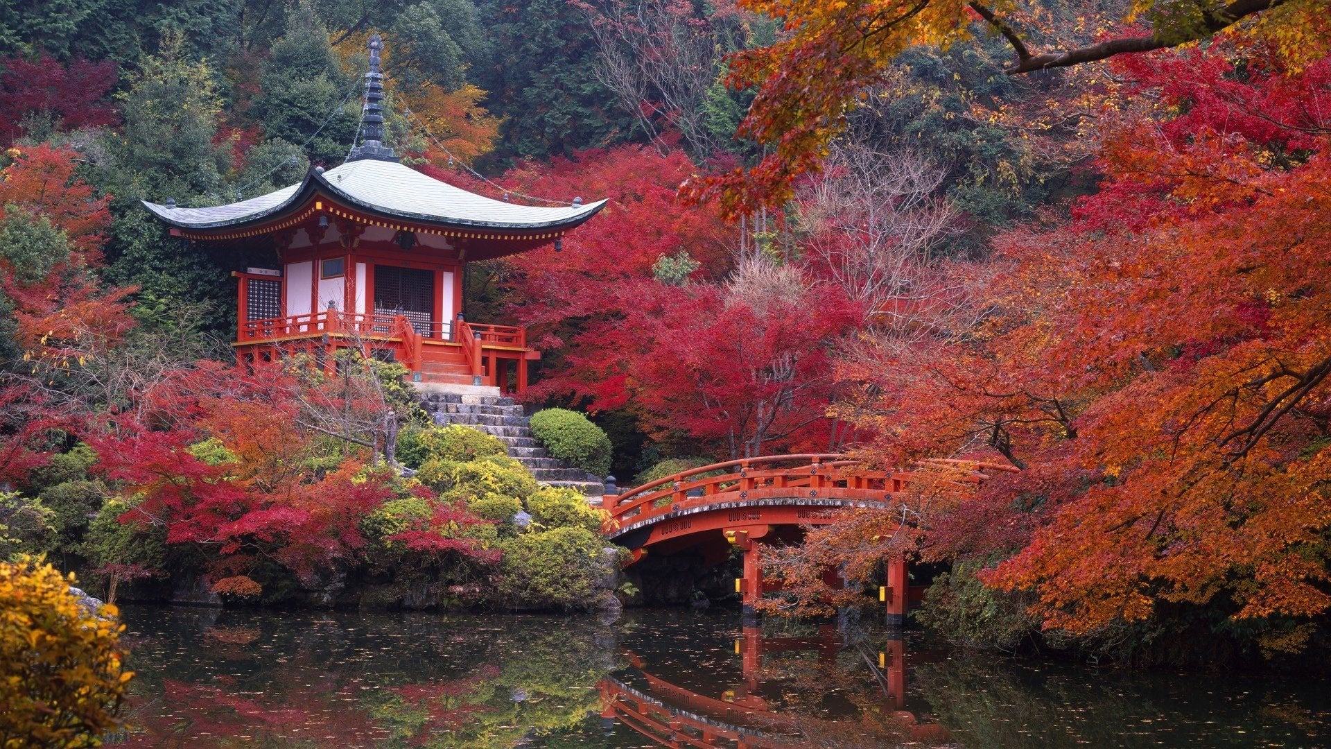 Kyoto Is So Beautiful This Time of Year
