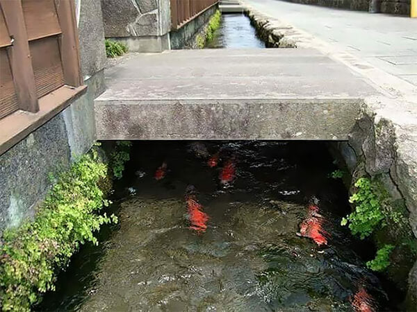 Who Knew That Japan's Street Gutters Can Be This Interesting?