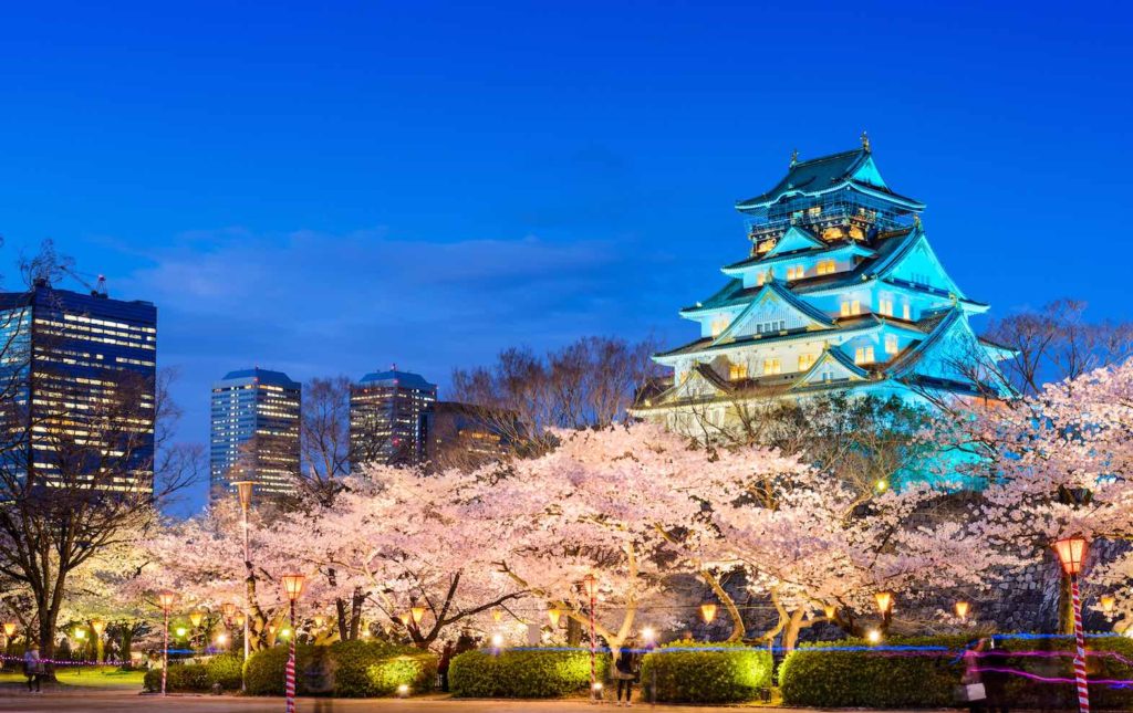 Cycling Around Osaka's Hidden Spots