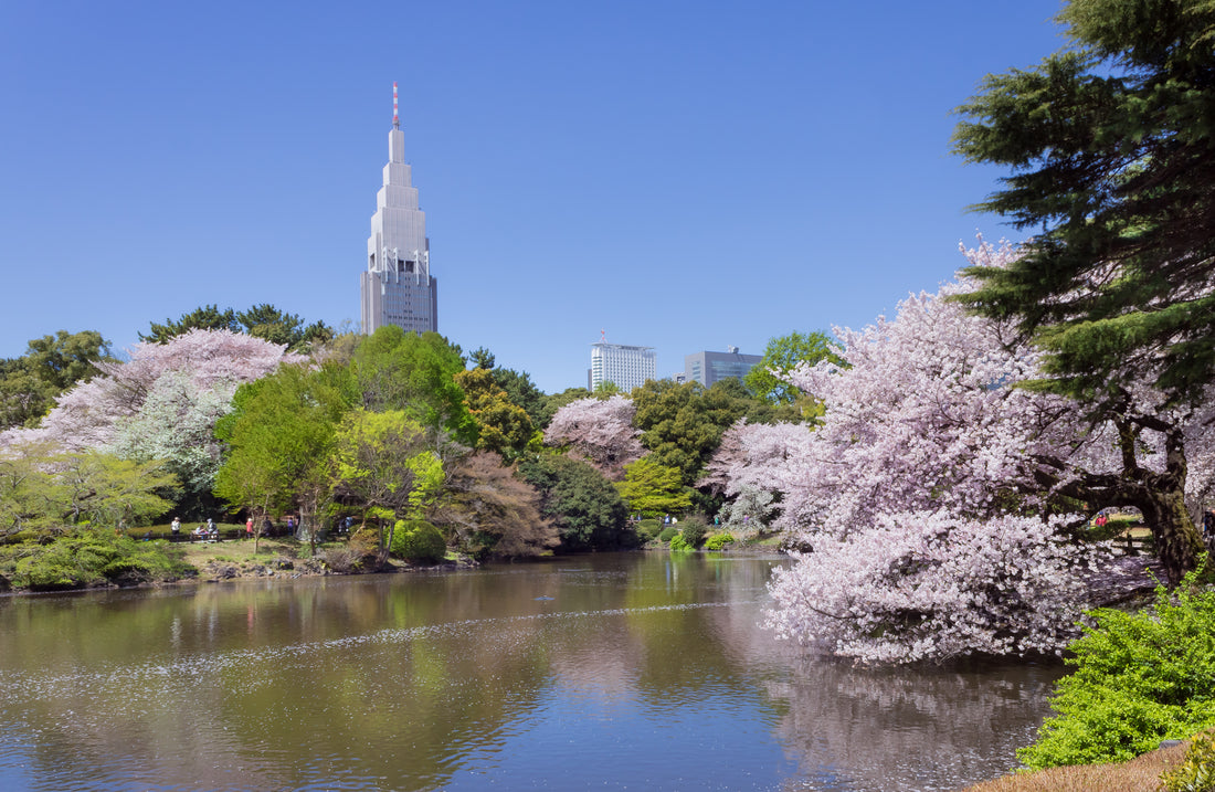 Awesome Walking Tour In Tokyo