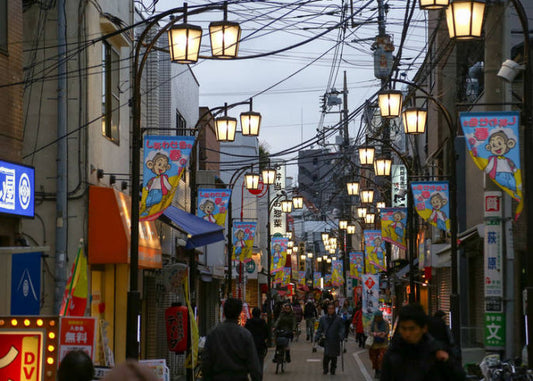 What A Typical Tokyo Neighborhood Looks Like