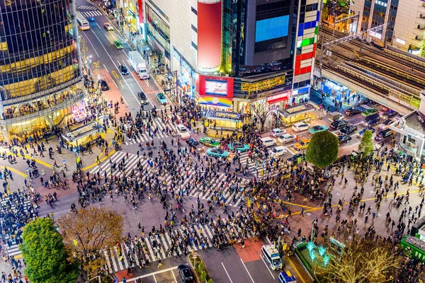 Tokyo's Most Popular Districts In 13 Minutes