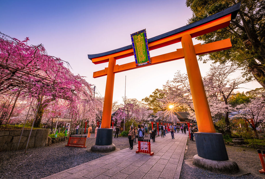 Best Things To Do In Kyoto