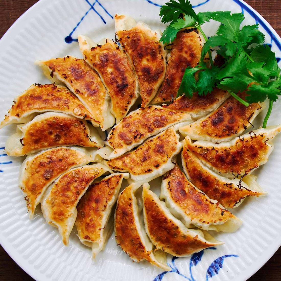 Inside a Japanese Gyoza Dumpling Factory