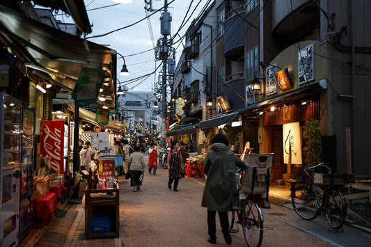 Walking 15 Miles Across Tokyo