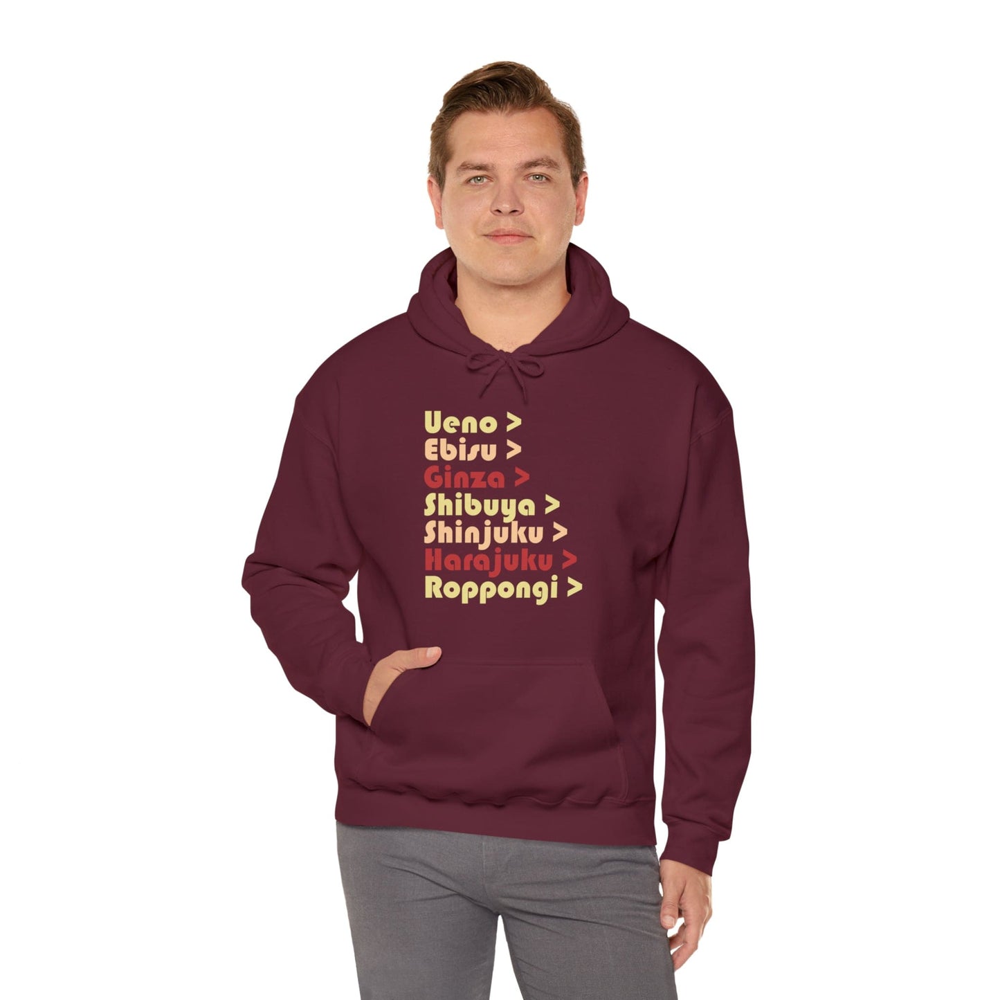 Tokyo Metro Unisex Hoodie