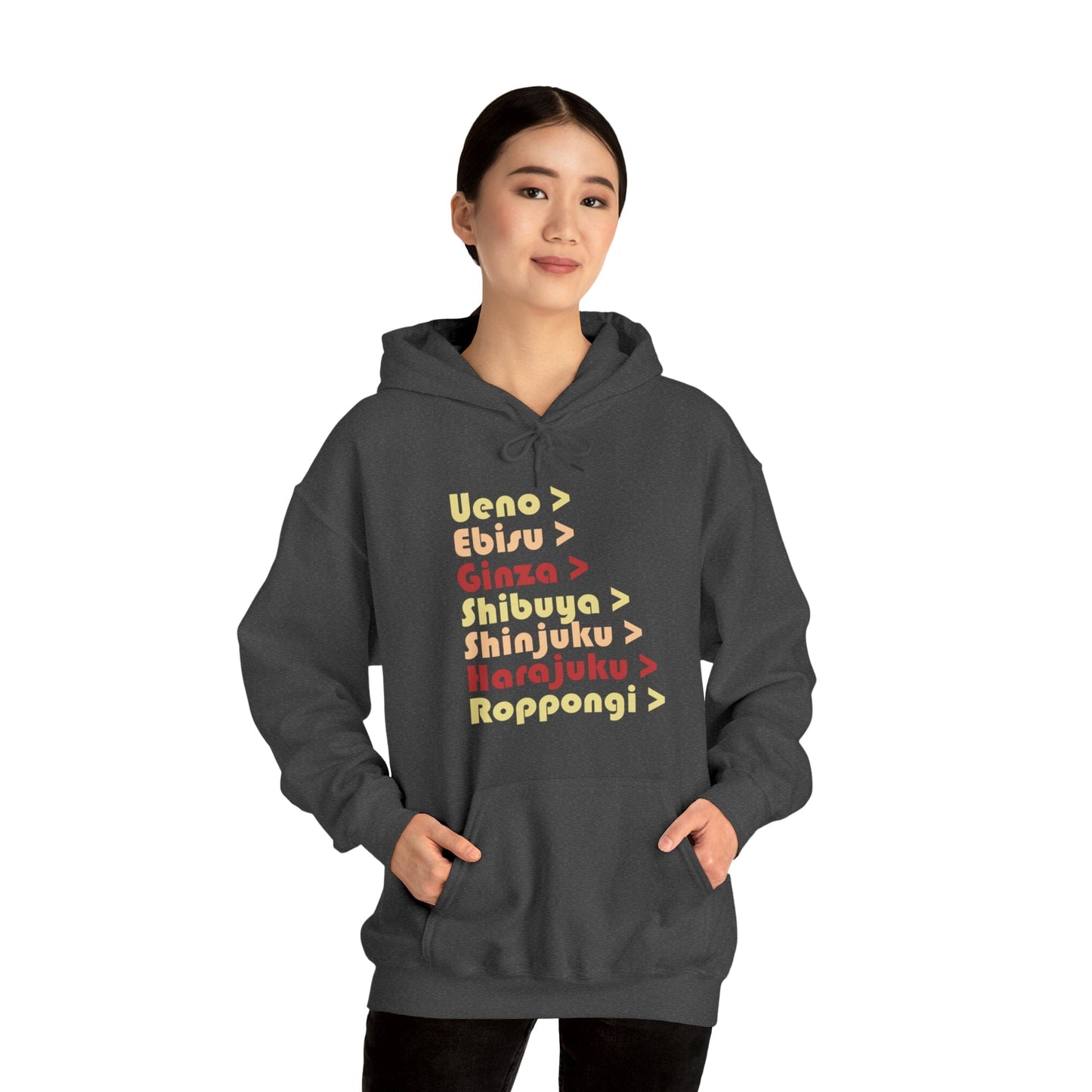 Tokyo Metro Unisex Hoodie